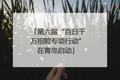 第六届“百日千万招聘专项行动”在青岛启动