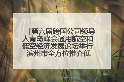 第六届跨国公司领导人青岛峰会通用航空和低空经济发展论坛举行 滨州市全方位推介低空经济发展优势