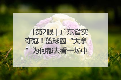 第2眼｜广东省实夺冠！篮球圈“大拿”为何都去看一场中学生比赛？