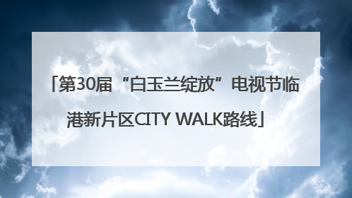 第30届“白玉兰绽放”电视节临港新片区CITY WALK路线
