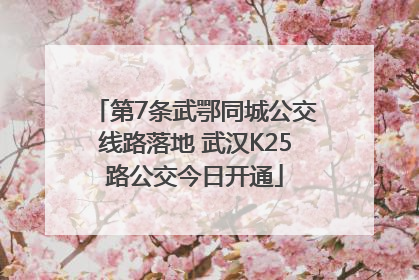 第7条武鄂同城公交线路落地 武汉K25路公交今日开通