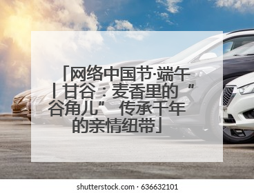 网络中国节·端午丨甘谷：麦香里的“谷角儿” 传承千年的亲情纽带