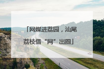 网媒进荔园，汕尾荔枝借“网”出圈