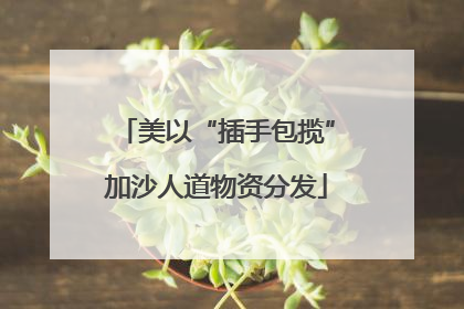 美以“插手包揽”加沙人道物资分发
