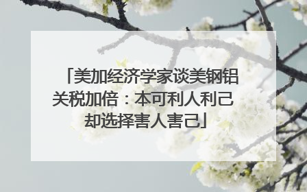 美加经济学家谈美钢铝关税加倍：本可利人利己 却选择害人害己