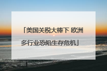 美国关税大棒下 欧洲多行业恐陷生存危机