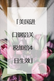 美国进口钢铝关税加倍4日生效