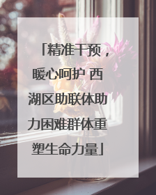 精准干预，暖心呵护 西湖区助联体助力困难群体重塑生命力量