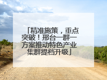 精准施策，重点突破！邢台一群一方案推动特色产业集群提档升级