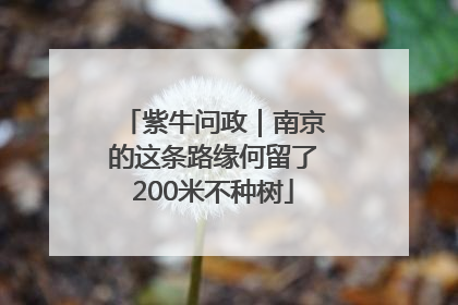 紫牛问政｜南京的这条路缘何留了200米不种树
