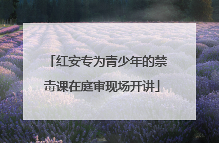 红安专为青少年的禁毒课在庭审现场开讲