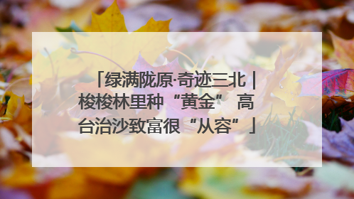绿满陇原·奇迹三北｜梭梭林里种“黄金” 高台治沙致富很“从容”