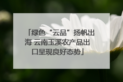 绿色“云品”扬帆出海 云南玉溪农产品出口呈现良好态势
