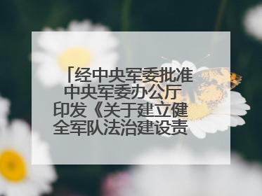 经中央军委批准 中央军委办公厅印发《关于建立健全军队法治建设责任体系的通知》