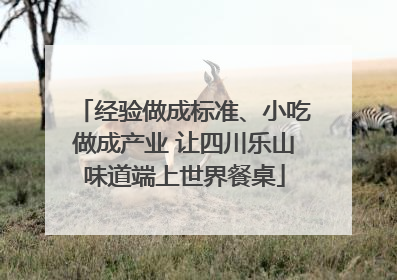 经验做成标准、小吃做成产业 让四川乐山味道端上世界餐桌