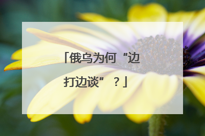 俄乌为何“边打边谈”？