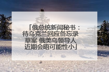 俄总统新闻秘书：待乌克兰回应备忘录草案 俄美乌领导人近期会晤可能性小