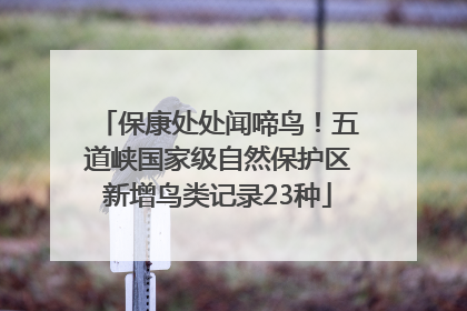 保康处处闻啼鸟！五道峡国家级自然保护区新增鸟类记录23种