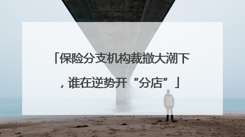 保险分支机构裁撤大潮下，谁在逆势开“分店”
