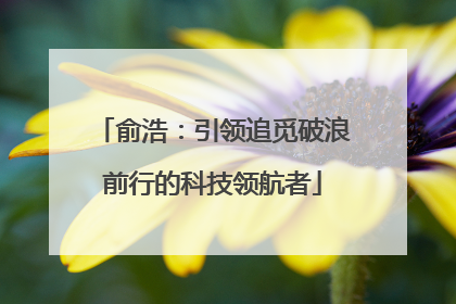 俞浩：引领追觅破浪前行的科技领航者