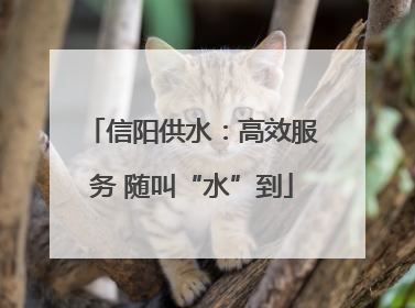信阳供水：高效服务 随叫“水”到
