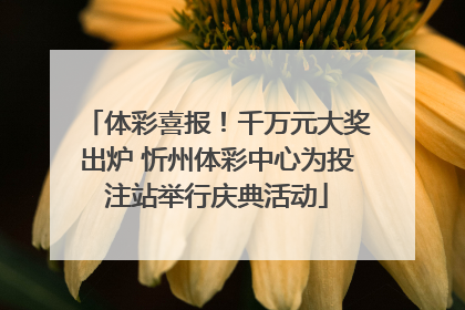 体彩喜报！千万元大奖出炉 忻州体彩中心为投注站举行庆典活动