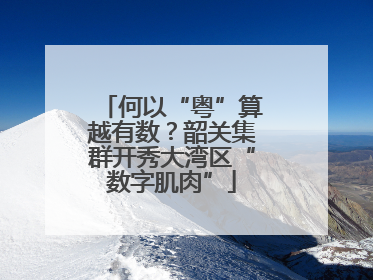 何以“粤”算越有数？韶关集群开秀大湾区“数字肌肉”