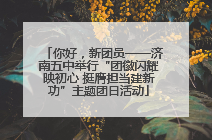 你好，新团员——济南五中举行“团徽闪耀映初心 挺膺担当建新功”主题团日活动