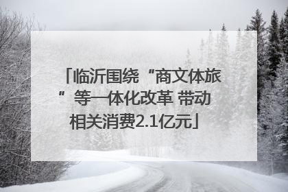 临沂围绕“商文体旅”等一体化改革 带动相关消费2.1亿元