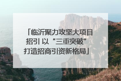 临沂聚力攻坚大项目招引 以“三重突破”打造招商引资新格局