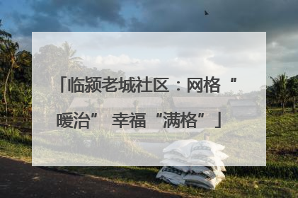 临颍老城社区：网格“暖治” 幸福“满格”
