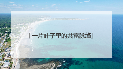 一片叶子里的共富脉络