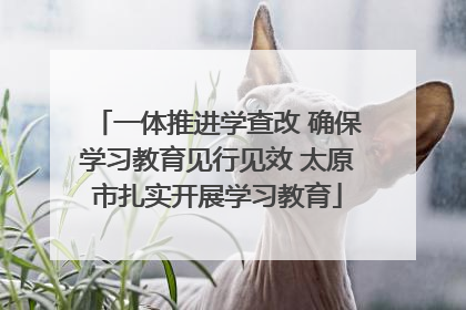 一体推进学查改 确保学习教育见行见效 太原市扎实开展学习教育