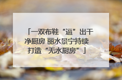 一双布鞋“逼”出干净厨房 丽水景宁持续打造“无水厨房”
