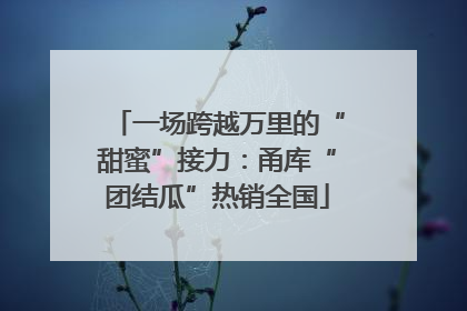 一场跨越万里的“甜蜜”接力：甬库“团结瓜”热销全国