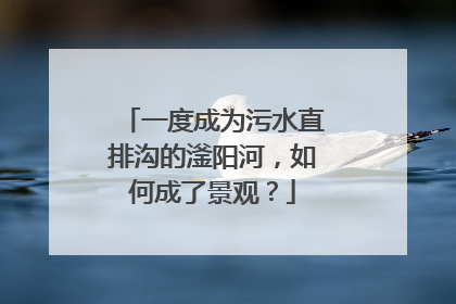 一度成为污水直排沟的滏阳河，如何成了景观？
