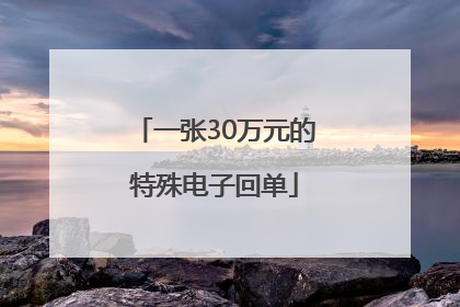 一张30万元的特殊电子回单