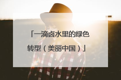 一滴卤水里的绿色转型（美丽中国）