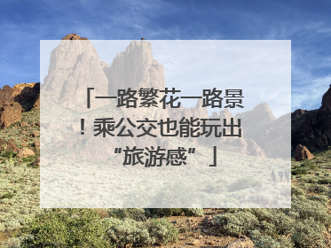 一路繁花一路景！乘公交也能玩出“旅游感”