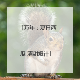 万年：夏日西瓜 清甜爆汁