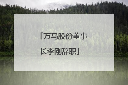 万马股份董事长李刚辞职