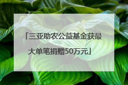 三亚助农公益基金获最大单笔捐赠50万元