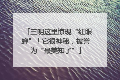 三明这里惊现“红眼蝉”！它很神秘，被誉为“最美知了”