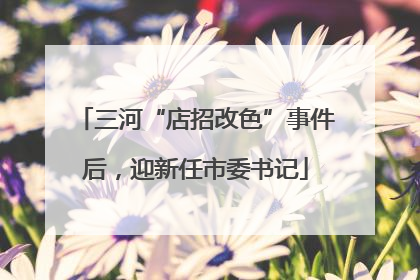 三河“店招改色”事件后，迎新任市委书记