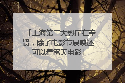 上海第二大影厅在奉贤，除了电影节展映还可以看露天电影