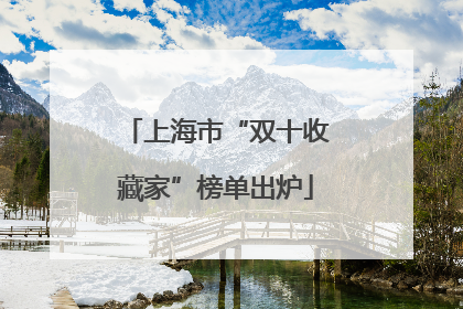 上海市“双十收藏家”榜单出炉
