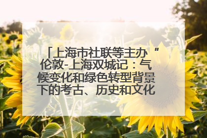 上海市社联等主办“伦敦-上海双城记：气候变化和绿色转型背景下的考古、历史和文化遗产”学术对话
