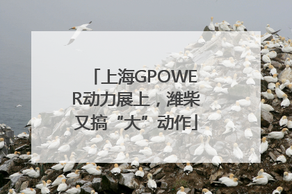上海GPOWER动力展上，潍柴又搞“大”动作