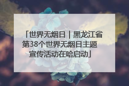 世界无烟日｜黑龙江省第38个世界无烟日主题宣传活动在哈启动