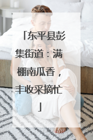 东平县彭集街道：满棚南瓜香，丰收采摘忙